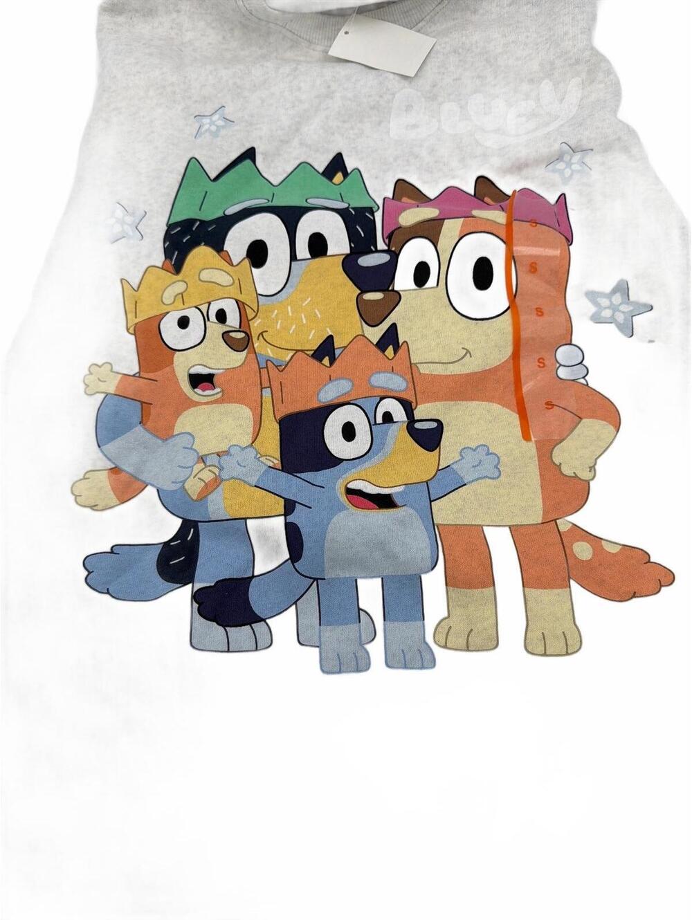 Bluey Cartoon Family Graphic Sweatshirt Size Small